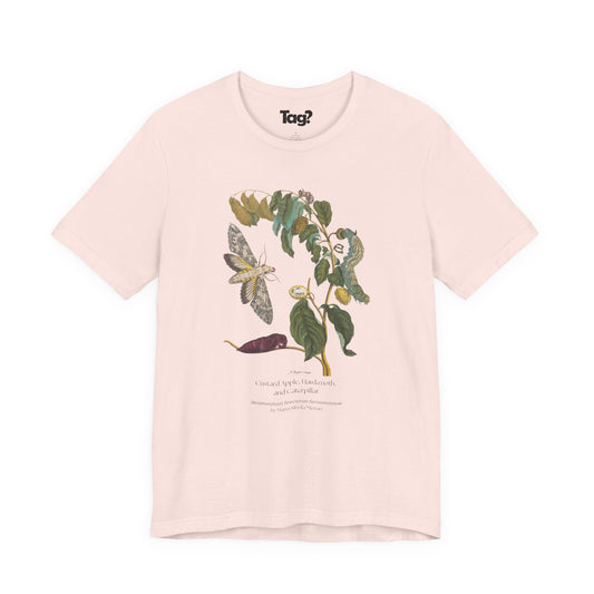 Custard Apple & Hawkmoth - Metamorphosis T-Shirt