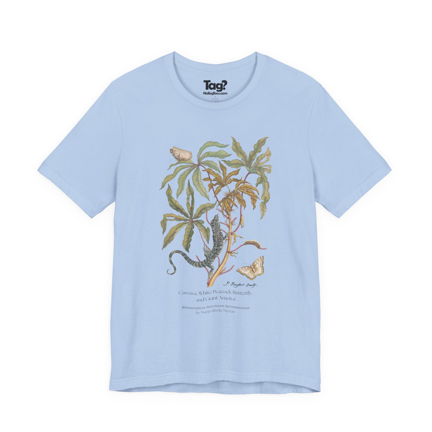 White Peacock Butterfly & Giant Ameiva - Metamorphosis T-Shirt