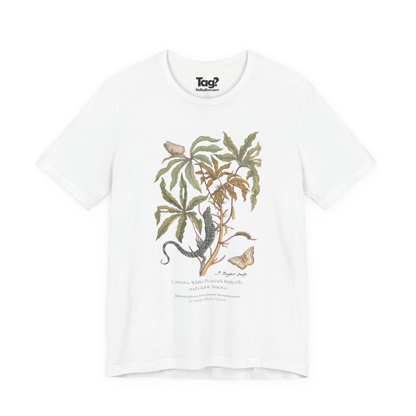White Peacock Butterfly & Giant Ameiva - Metamorphosis T-Shirt