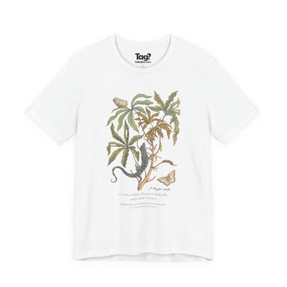 White Peacock Butterfly & Giant Ameiva - Metamorphosis T-Shirt