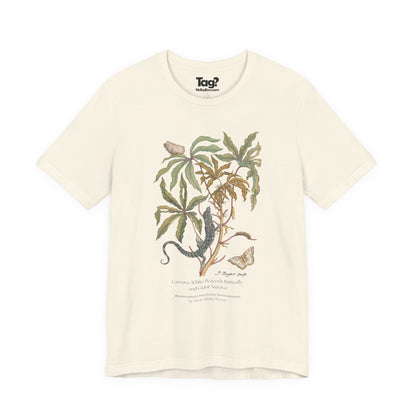 White Peacock Butterfly & Giant Ameiva - Metamorphosis T-Shirt