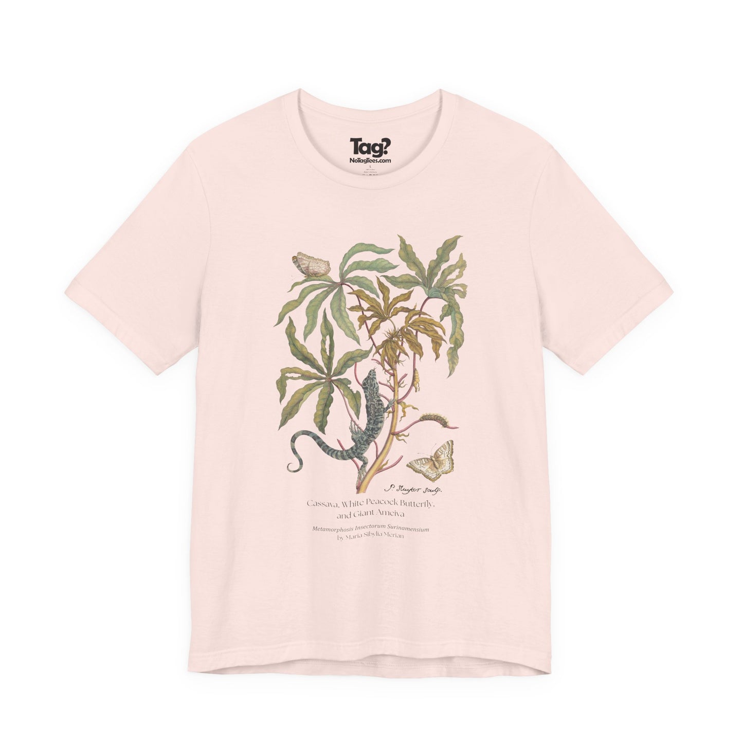 White Peacock Butterfly & Giant Ameiva - Metamorphosis T-Shirt