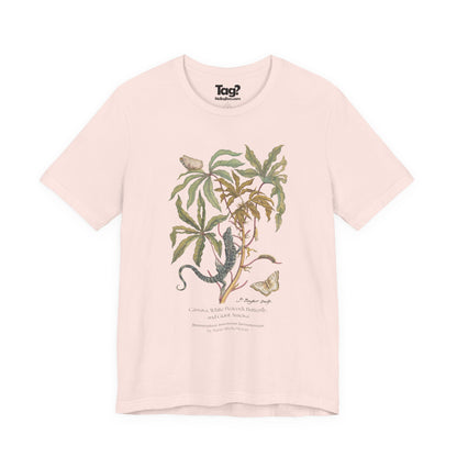 White Peacock Butterfly & Giant Ameiva - Metamorphosis T-Shirt